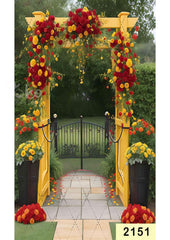 Yellow With Red Color Backdrop