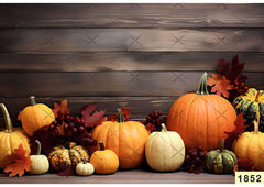 Pumpkin Backdrop