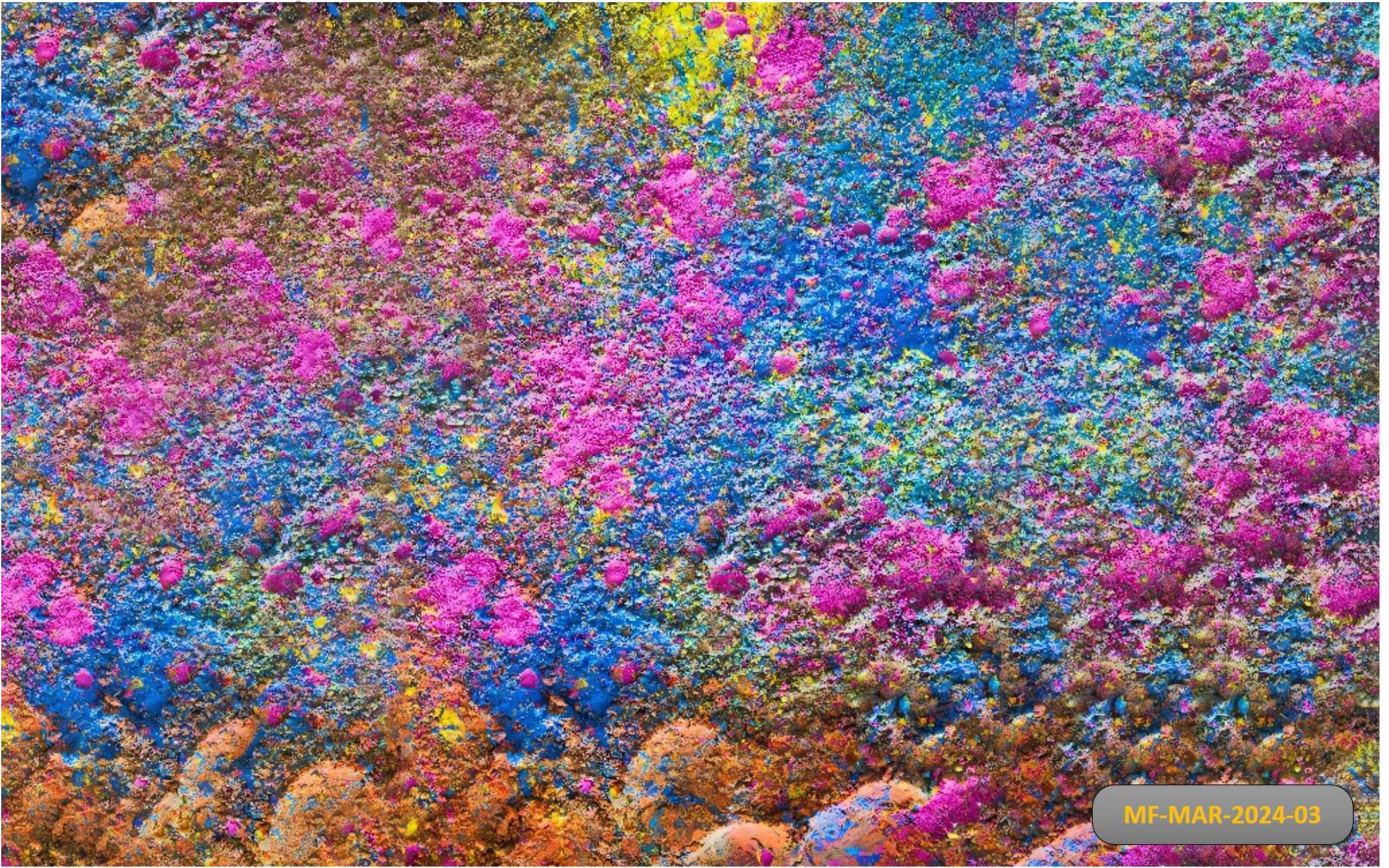 Lathmaar Holi babyphotoshoot Backdrop