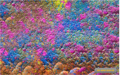 Lathmaar Holi babyphotoshoot Backdrop