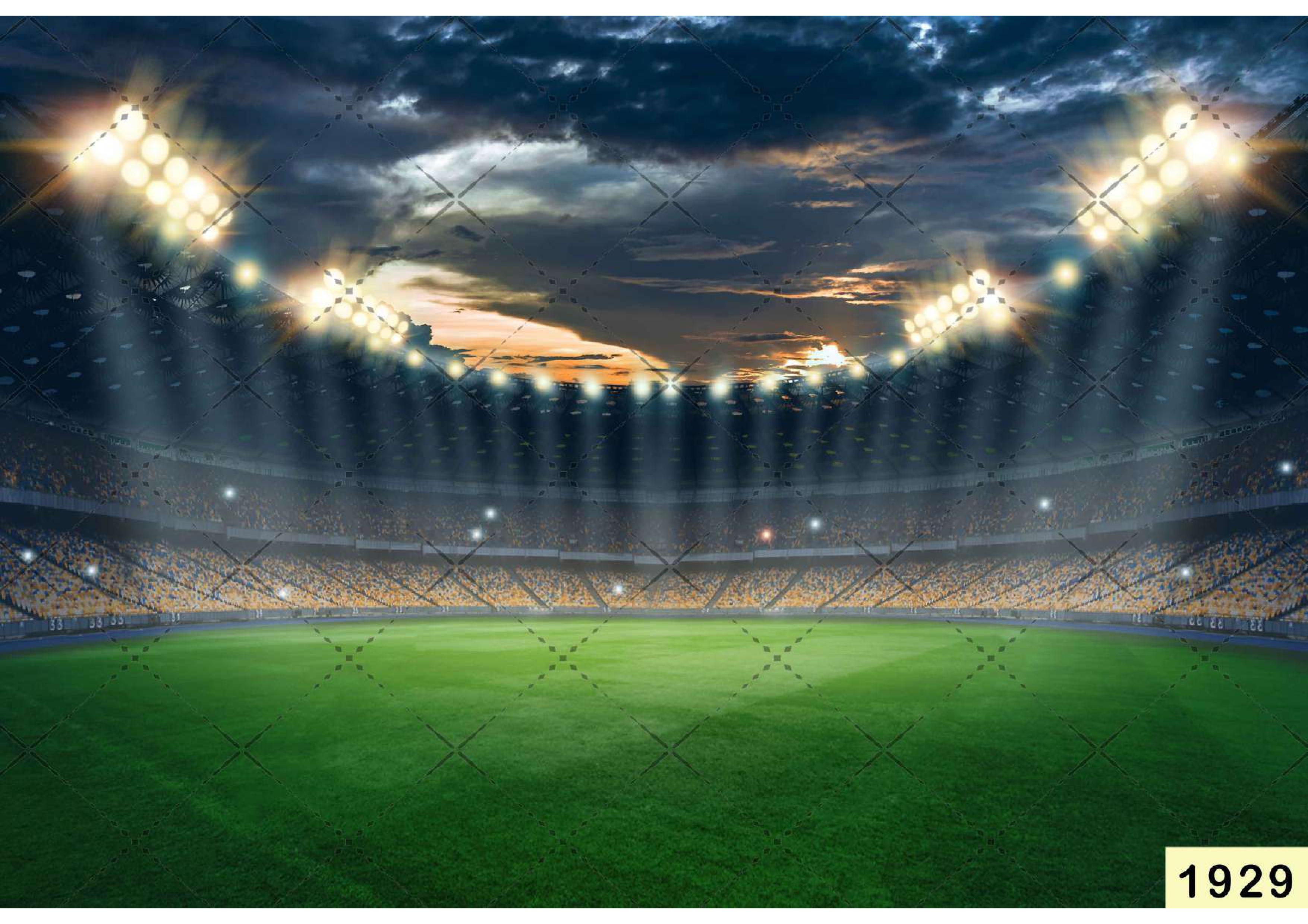 Football Stadium babyphotoshoot backdrop