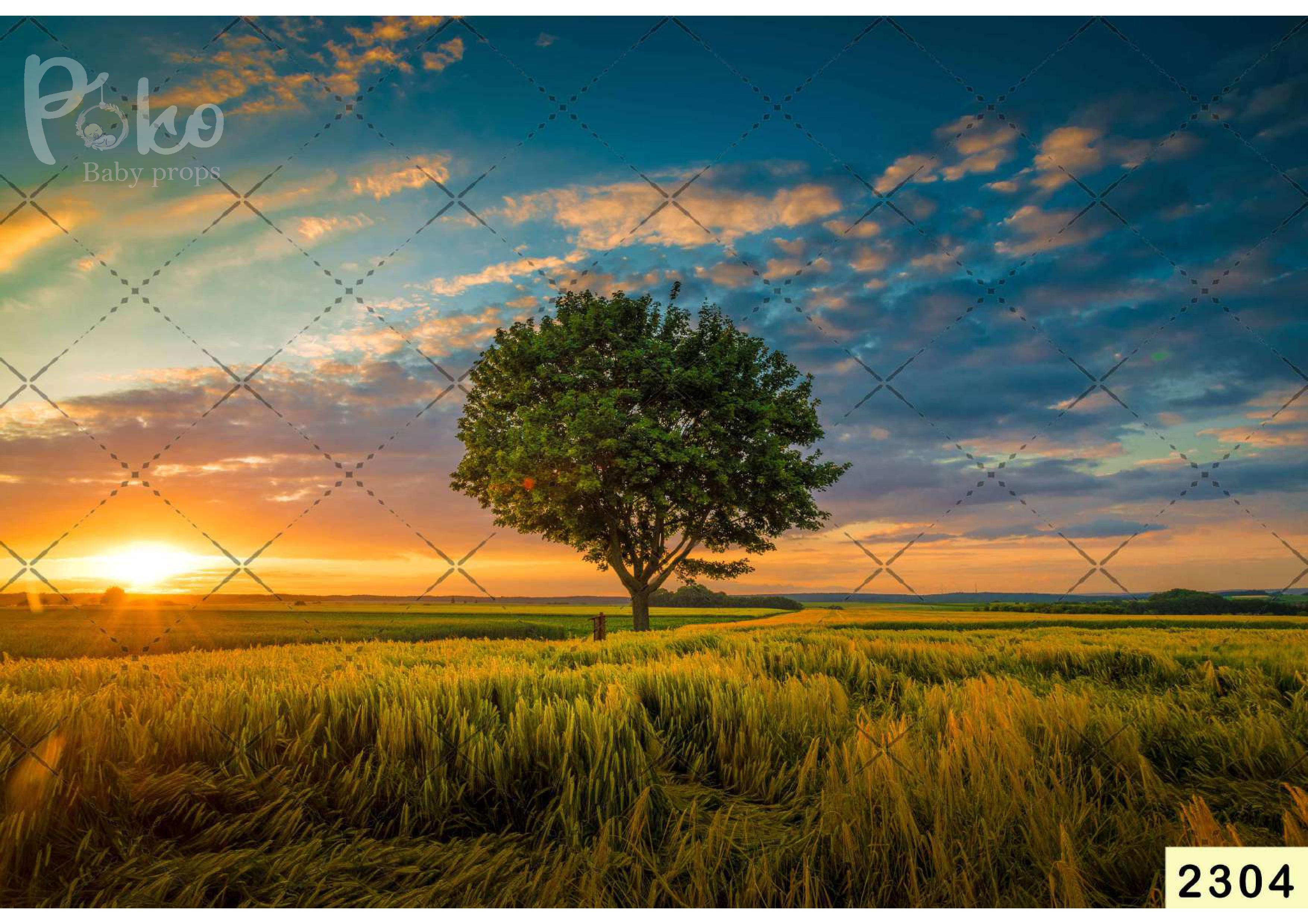 Greenish Tree With Sunrise Backdrop