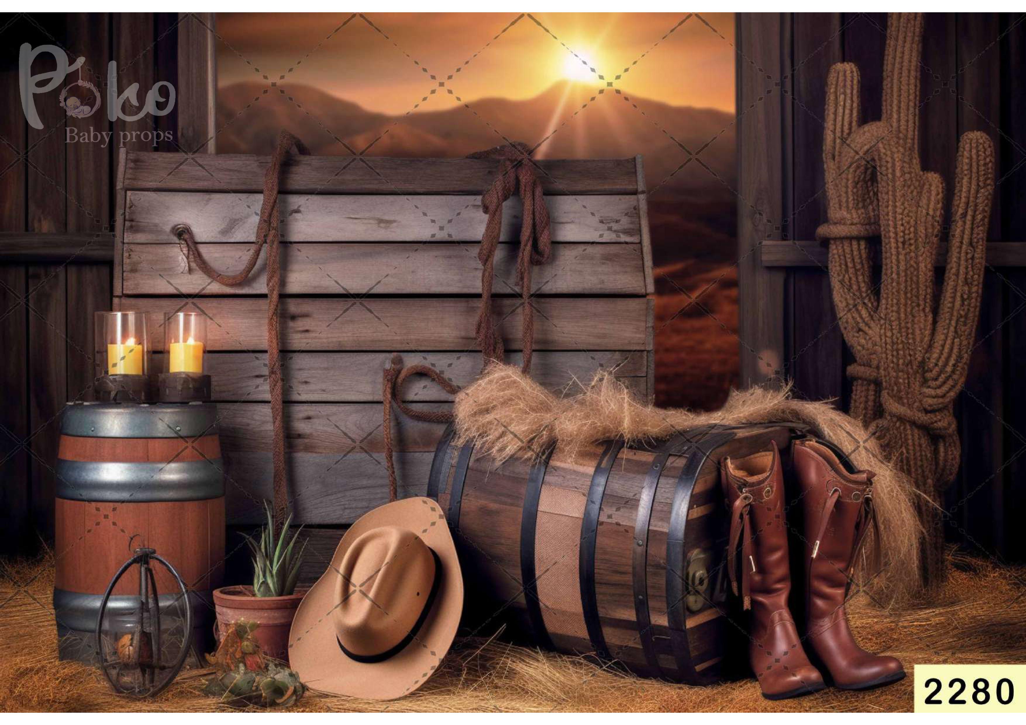 Sunlight Cowboy Backdrop