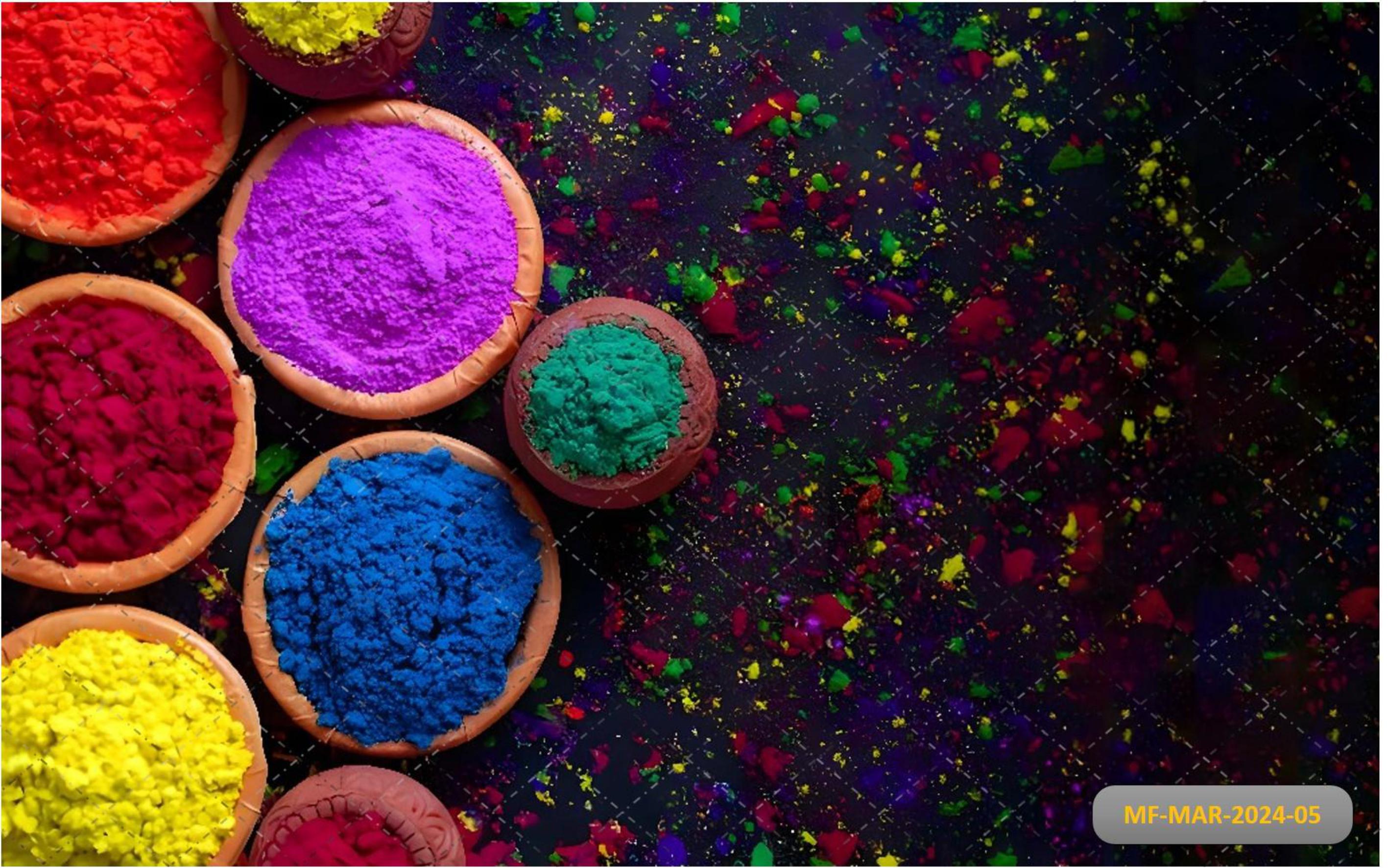 Dolturnima Holi babyphotoshoot backdrop