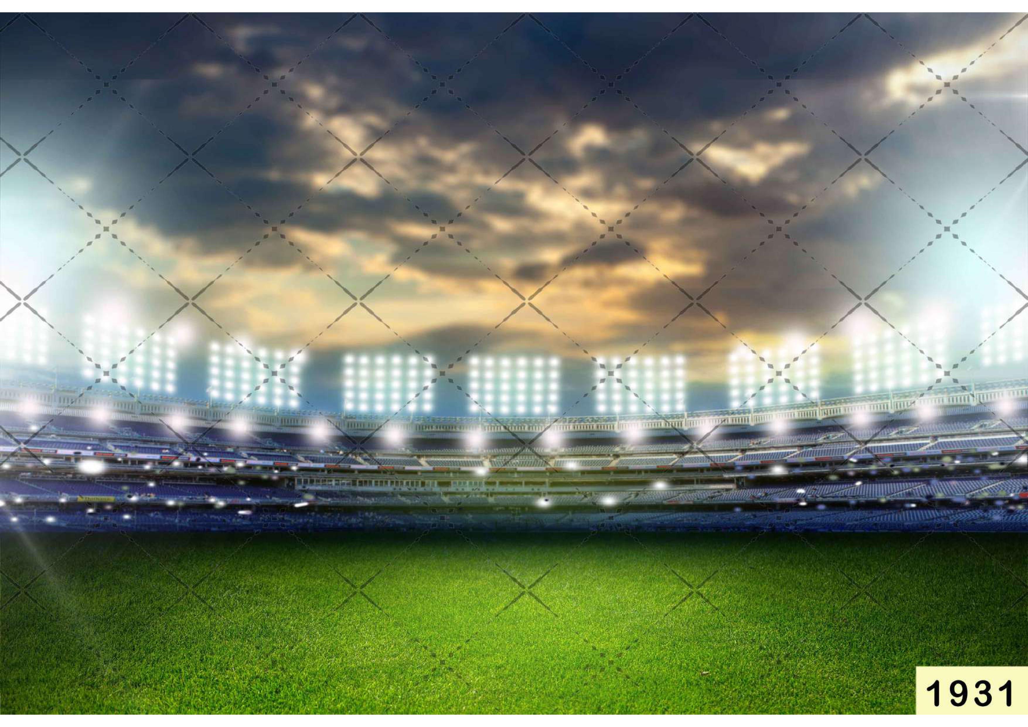 Top View Cricket Stadium Backdrop