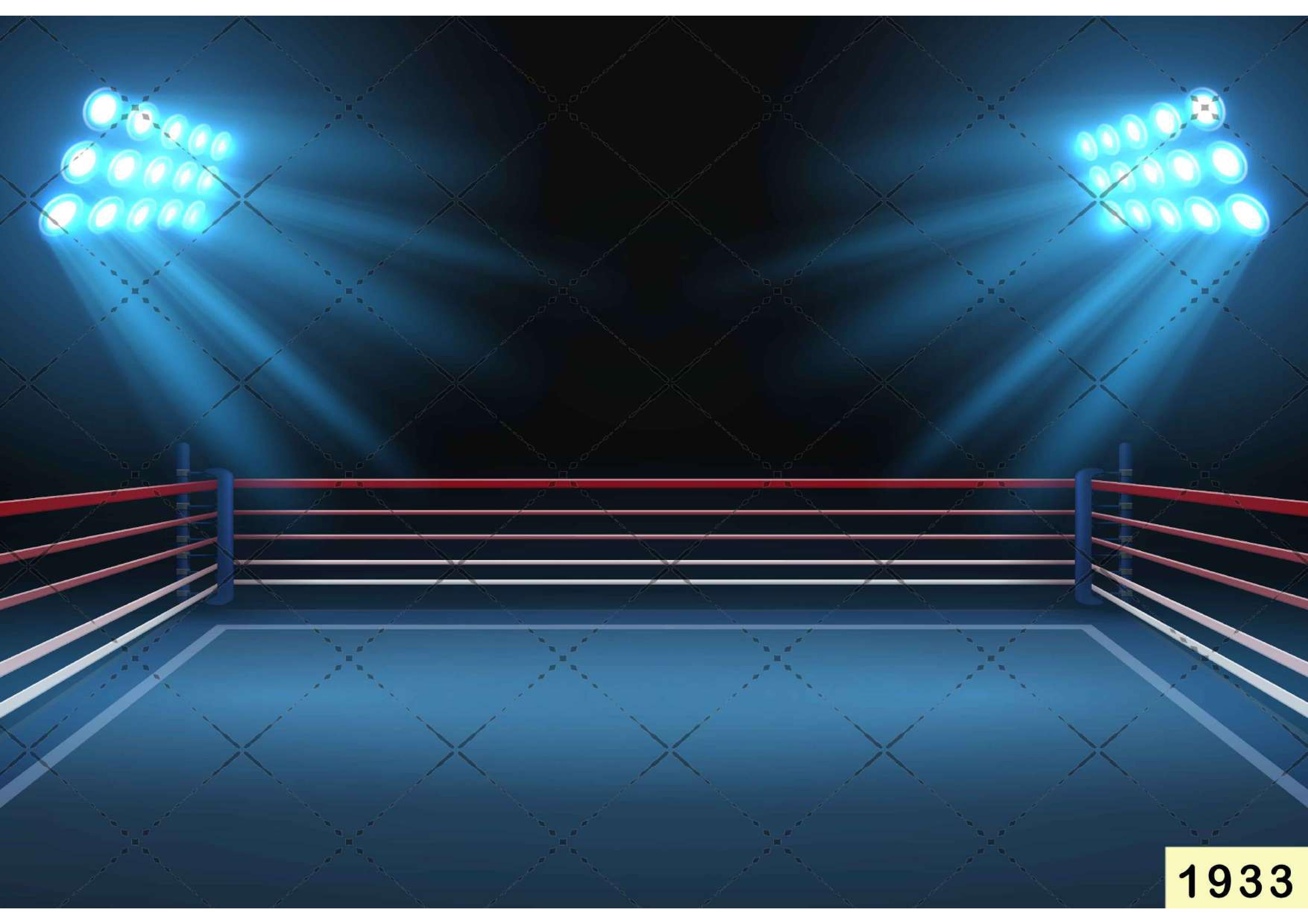 Boxing Ring Arena Stadium babyphotoshoot Backdrop