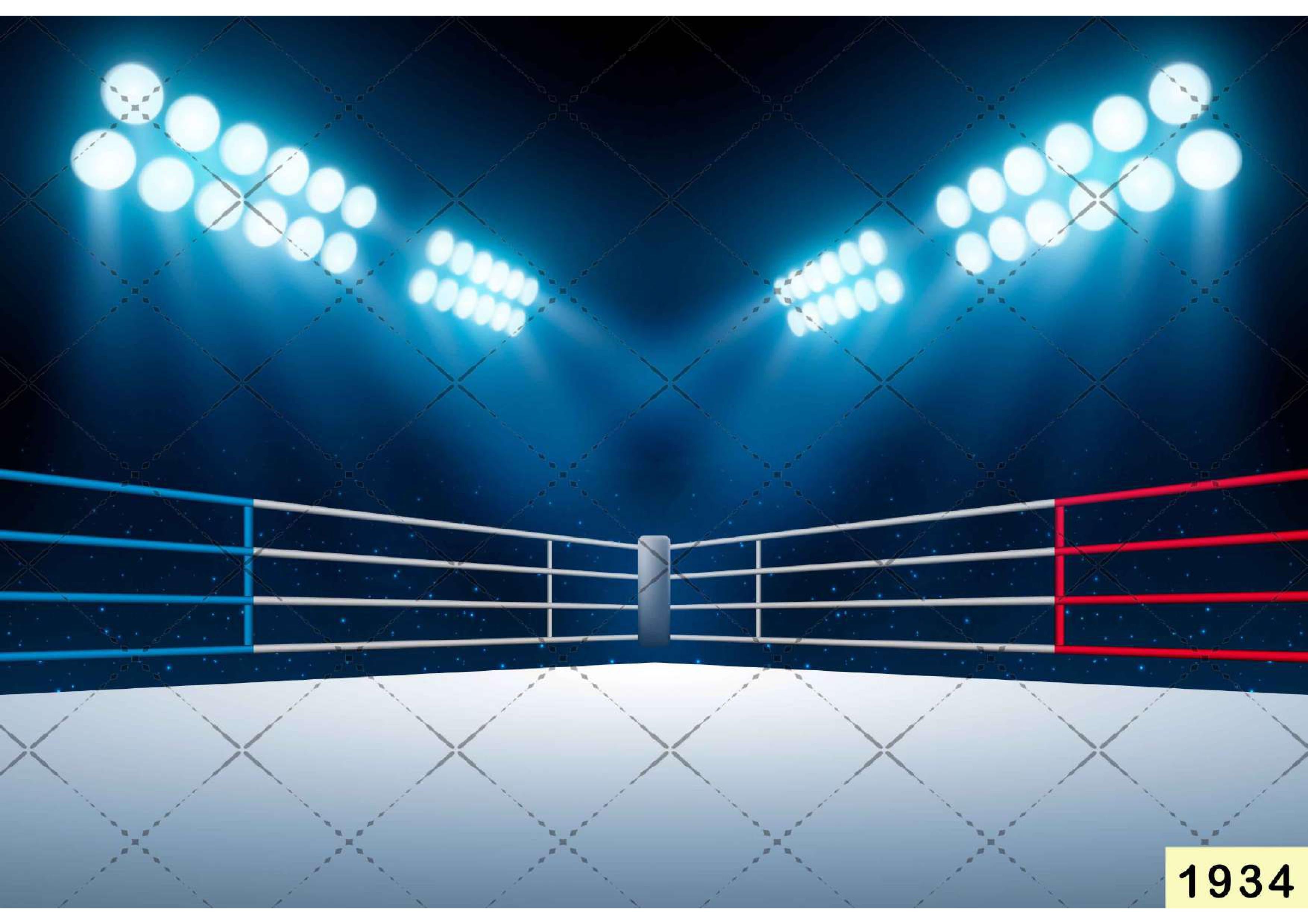 Corner Boxing Ring babyphotoshoot Backdrop