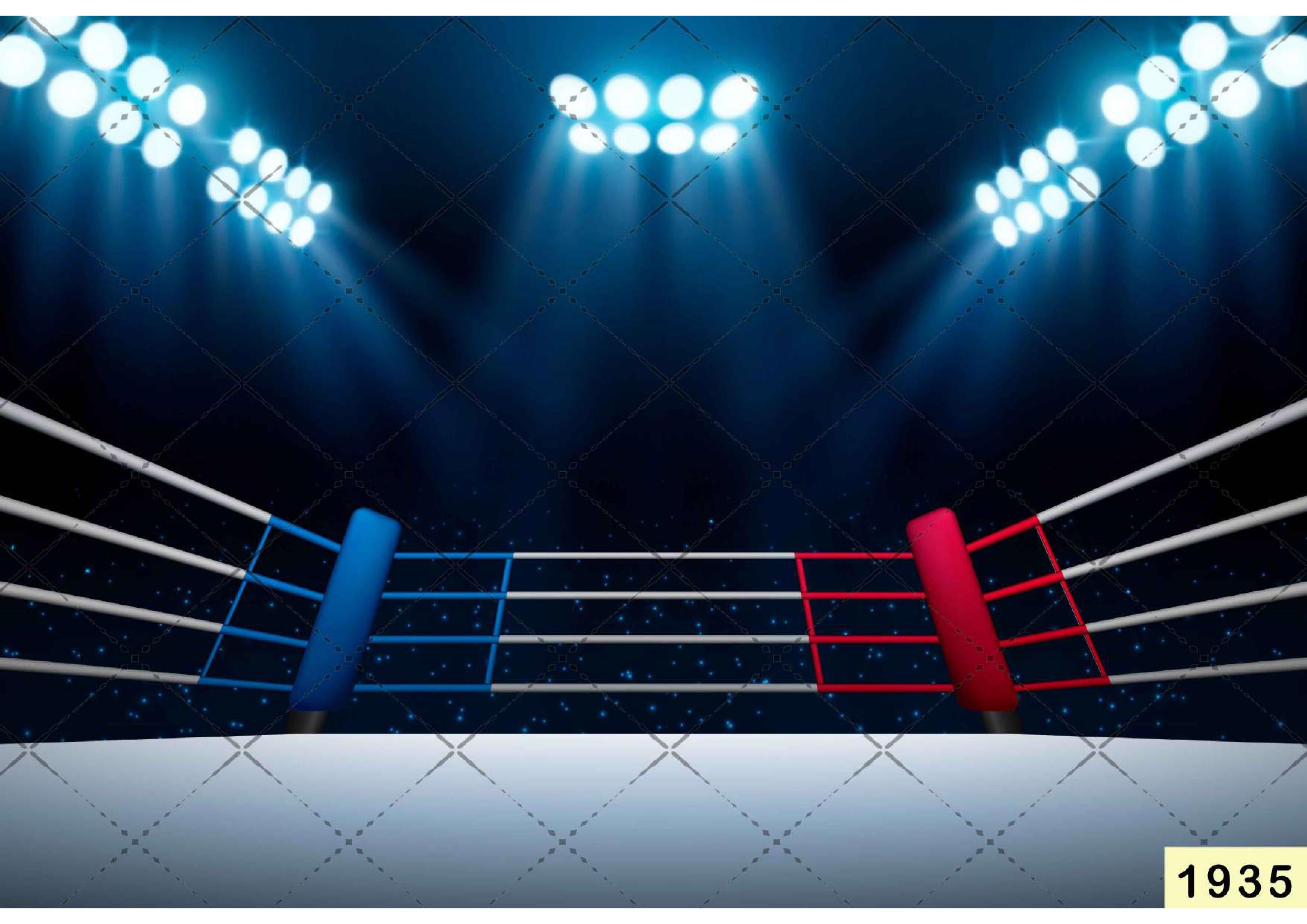 Boxing Ring babyphotoshoot Backdrop
