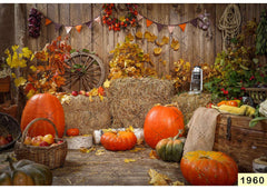 Pumpkin With Fruits Backdrop