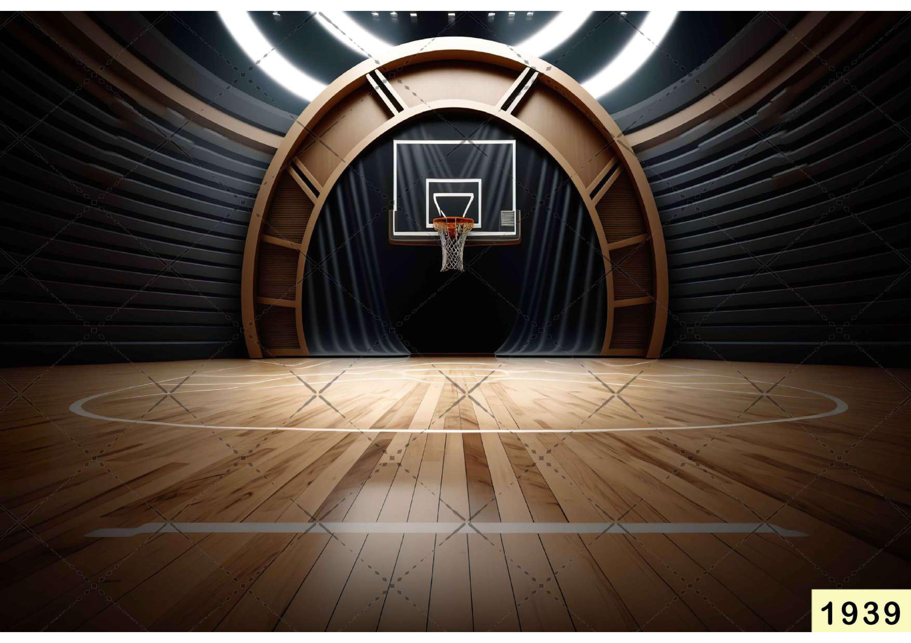 Basketball Arena babyphotoshoot Backdrop