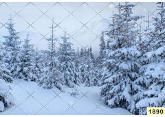 Xmas Snow Tree babyphotoshoot Backdrop