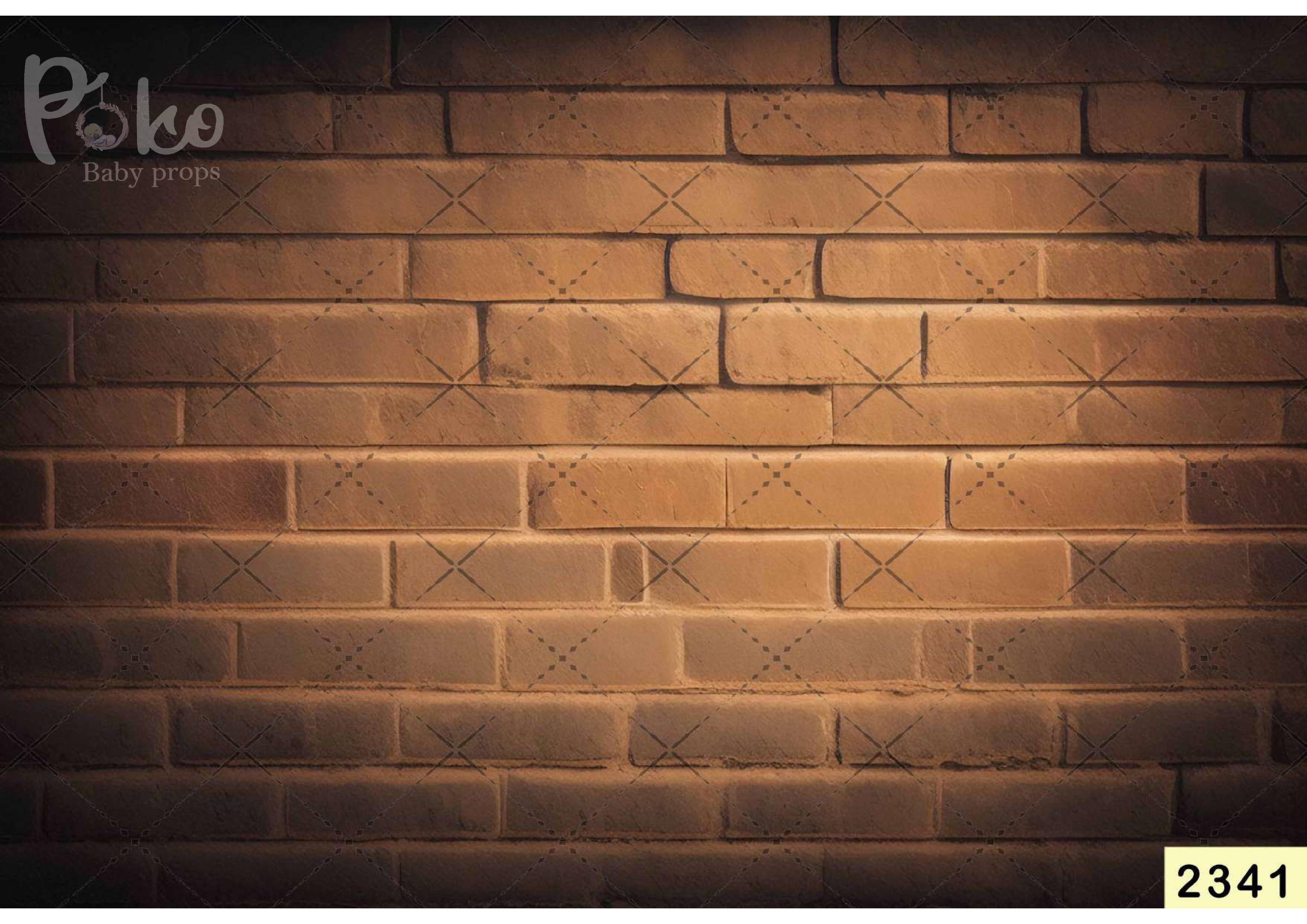 Old Bricks Backdrop