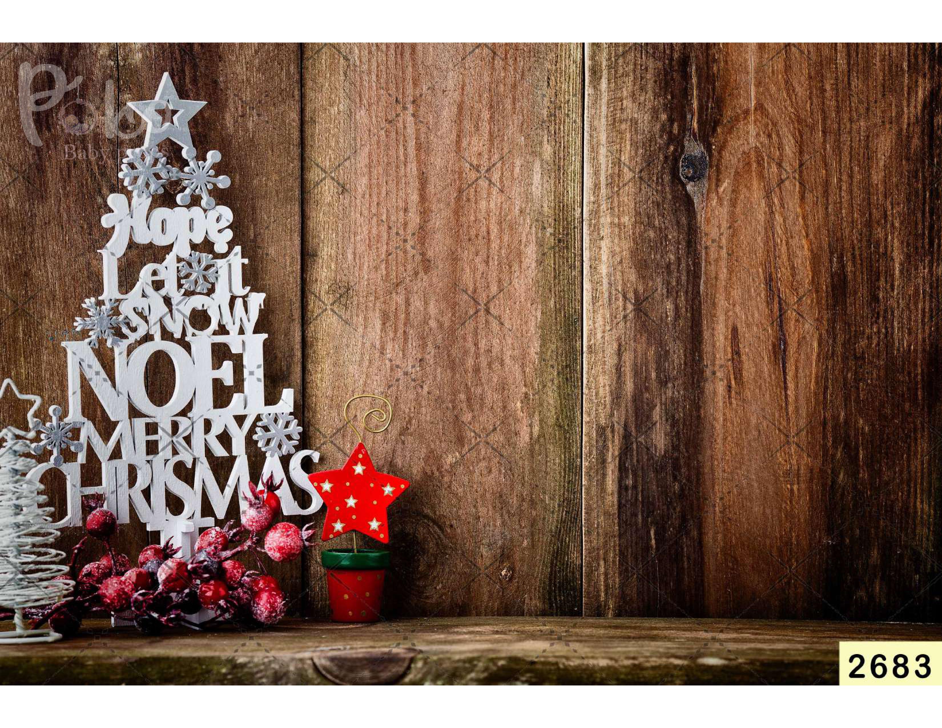 Merry Christmas Backdrop