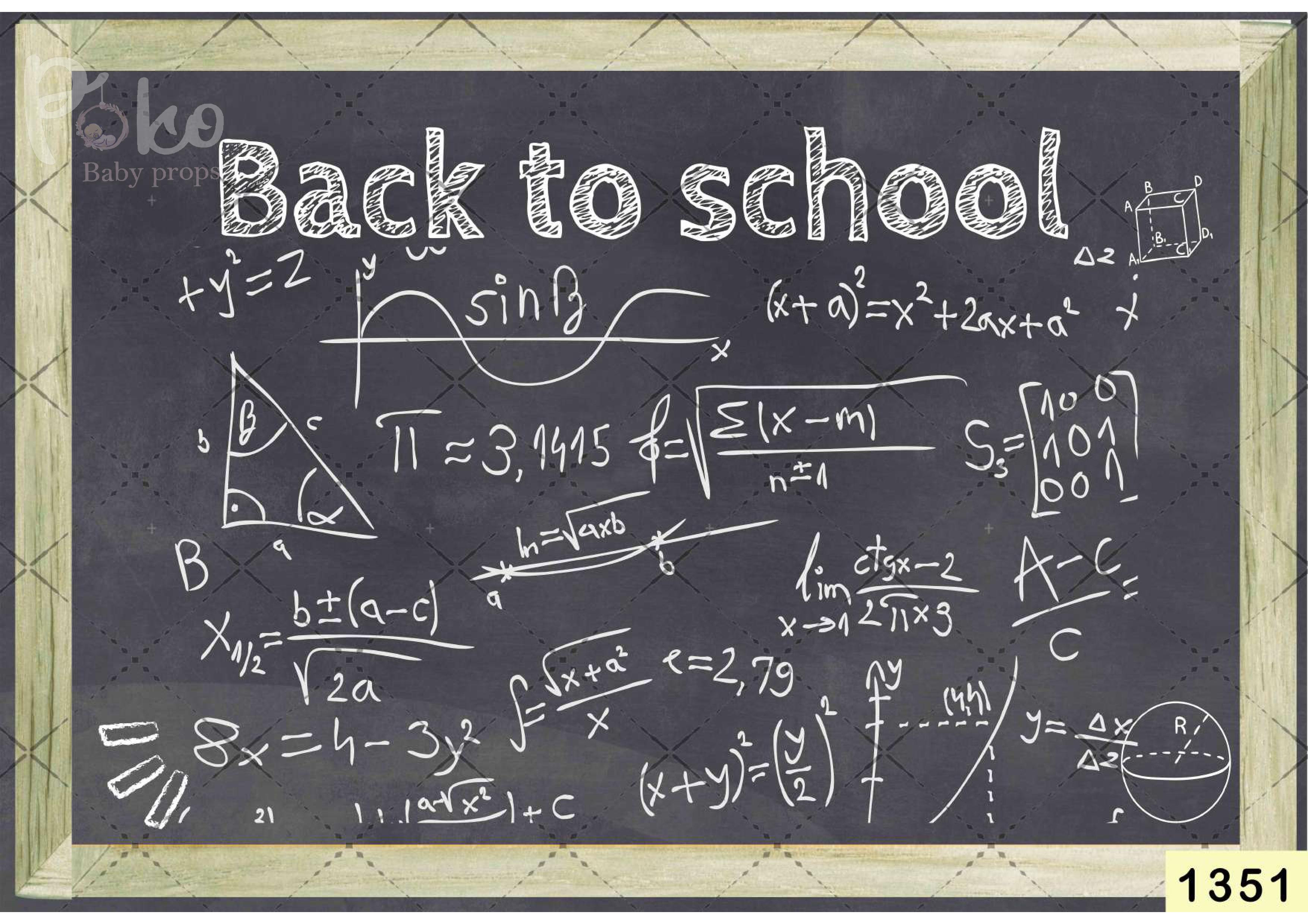 Back To School babyphotoshoot Backdrop