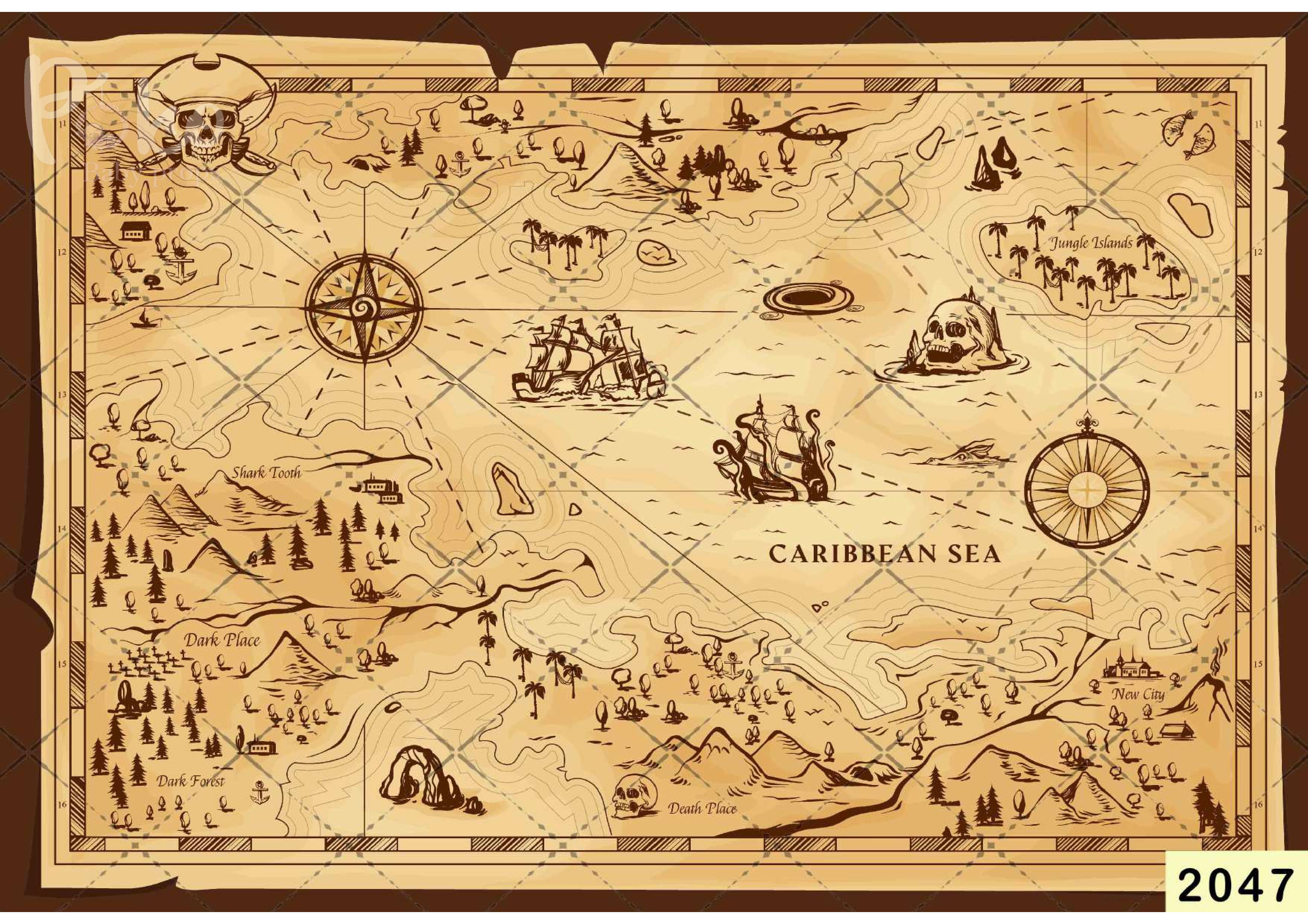 Pirates Map Backdrop