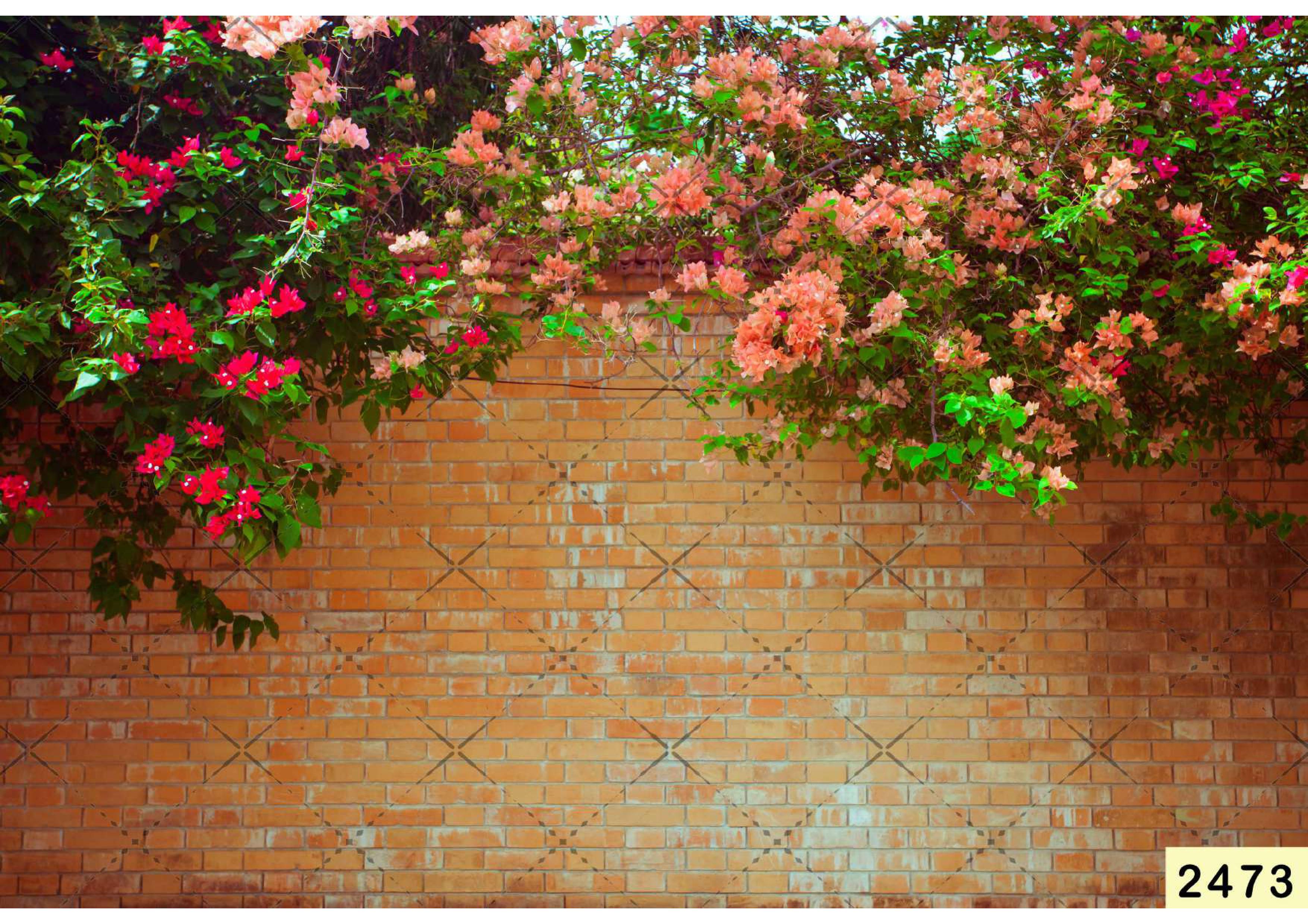 Bricks Flower babyphotoshoot Backdrop