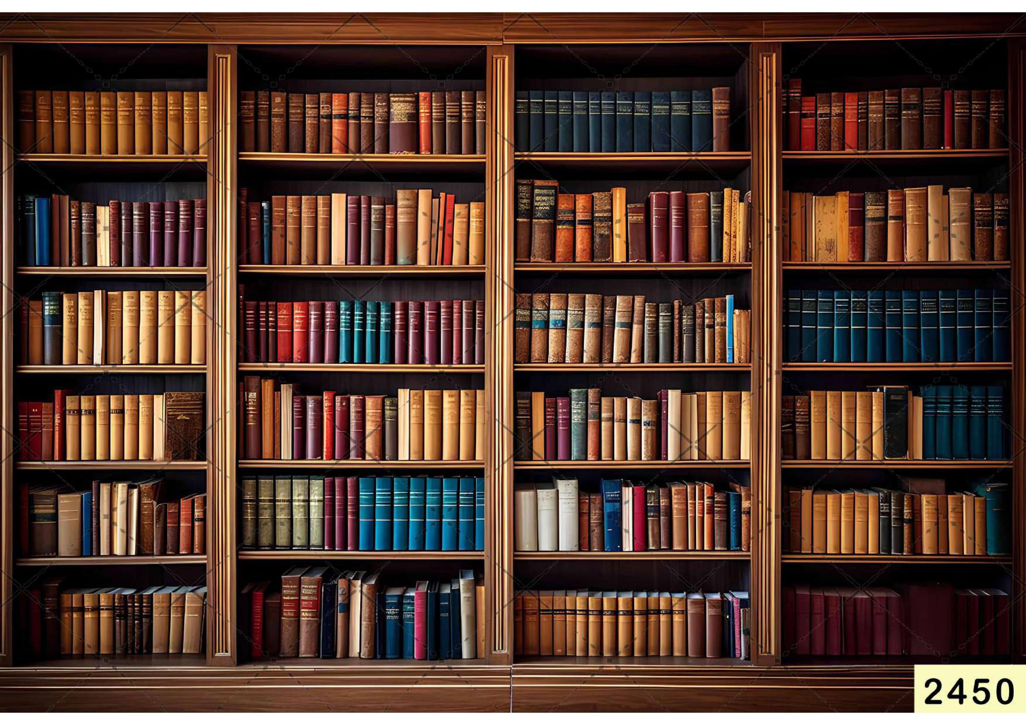 Library Books Backdrop