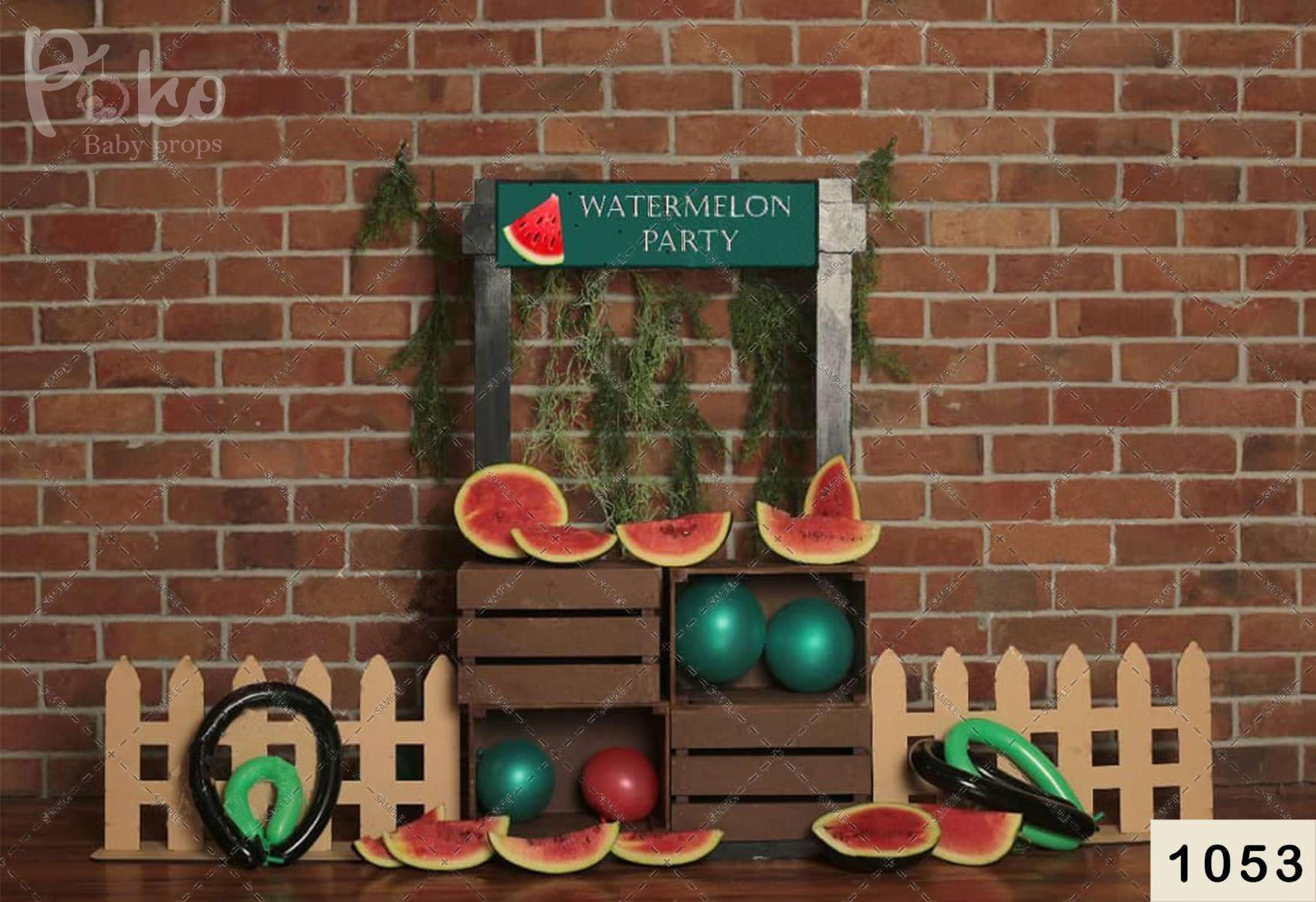 Watermelon fruit Party babyshoot Backdrop