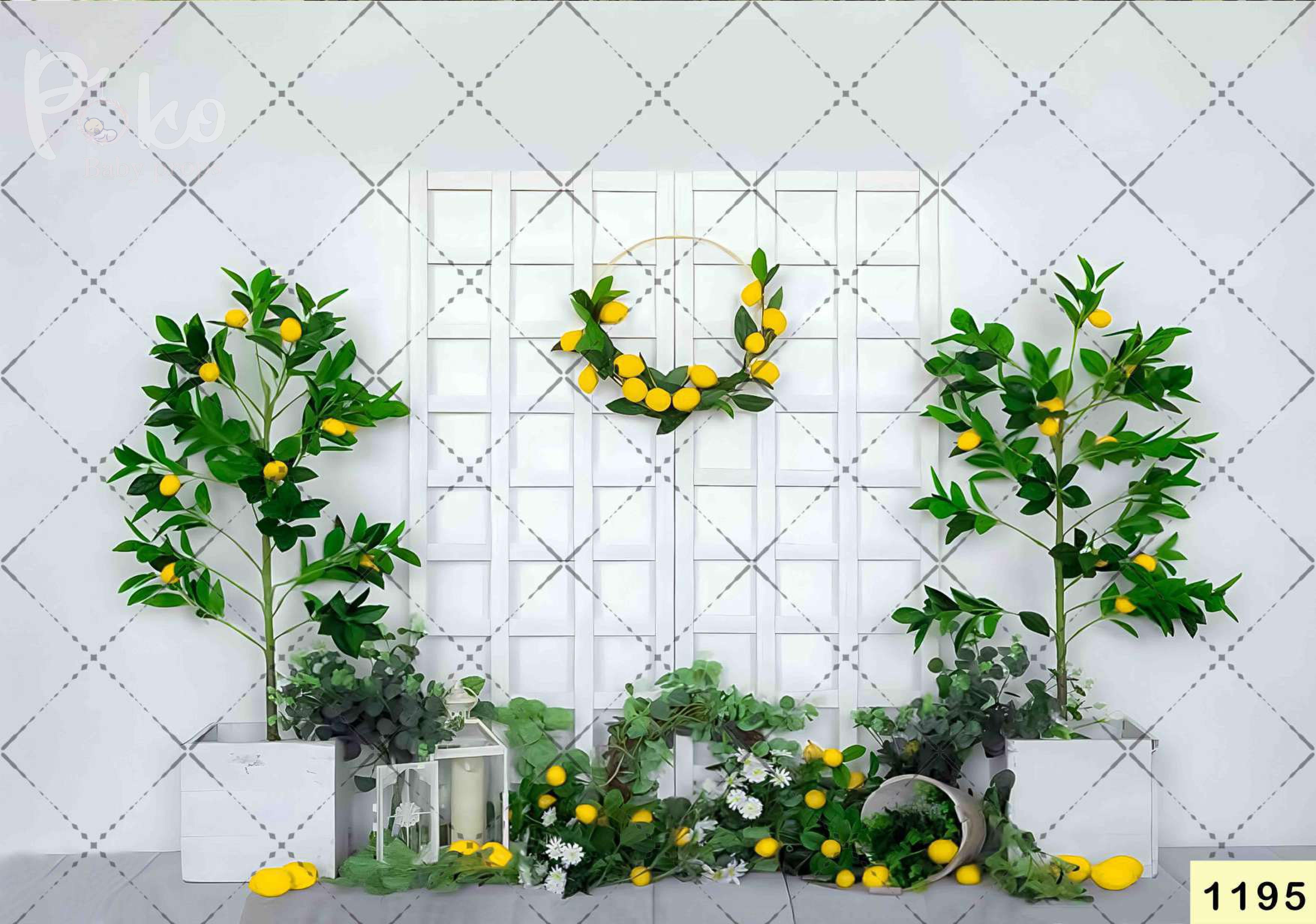Lemon tree Backdrop