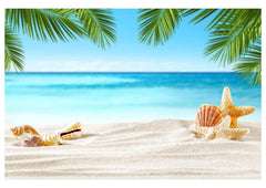 Beach Ready To Shoot Baby Shoot toddler photoshoot Theme