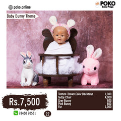 Baby bunny theme