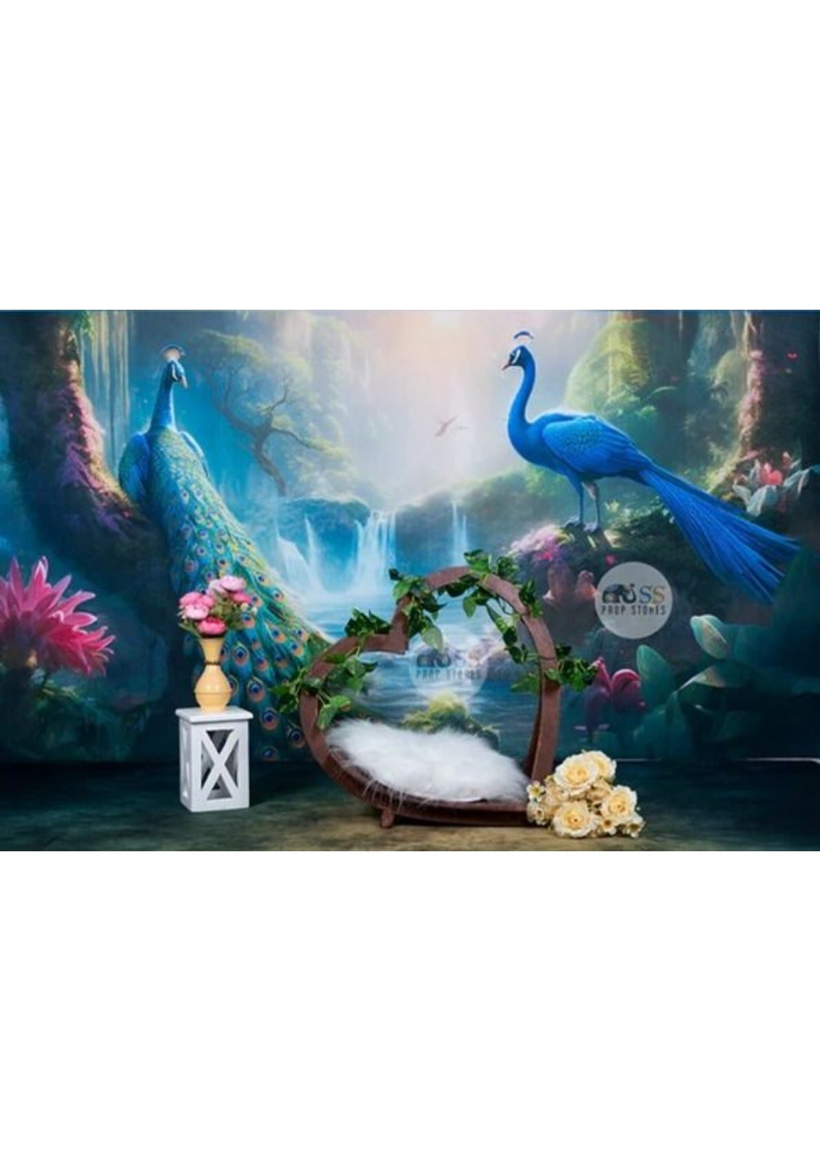 Heart Dream baby photoshoot Catcher