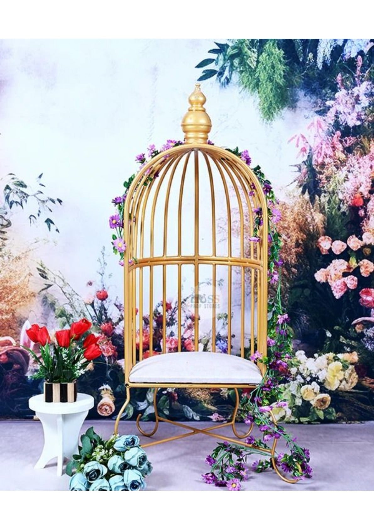 Kids Golden Cage