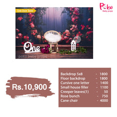 Cane Chair Ready to Shoot Baby Shoot baby photoshoot Theme