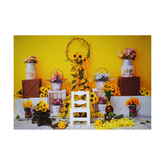 baby and toddler photoshoot theme