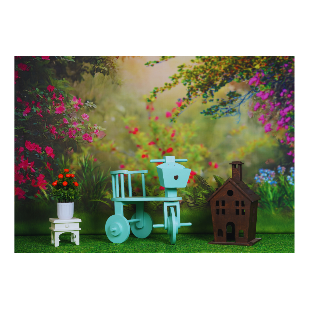 baby photoshoot theme