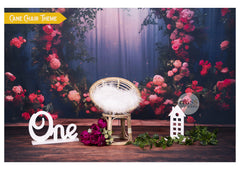 Cane Chair Ready to Shoot Baby Shoot baby photoshoot Theme