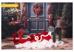 Christmas Ready to Shoot Baby Shoot toddler photoshoot Theme