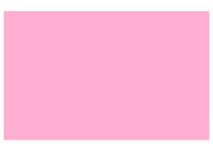 Pink Color Chart Backdrop