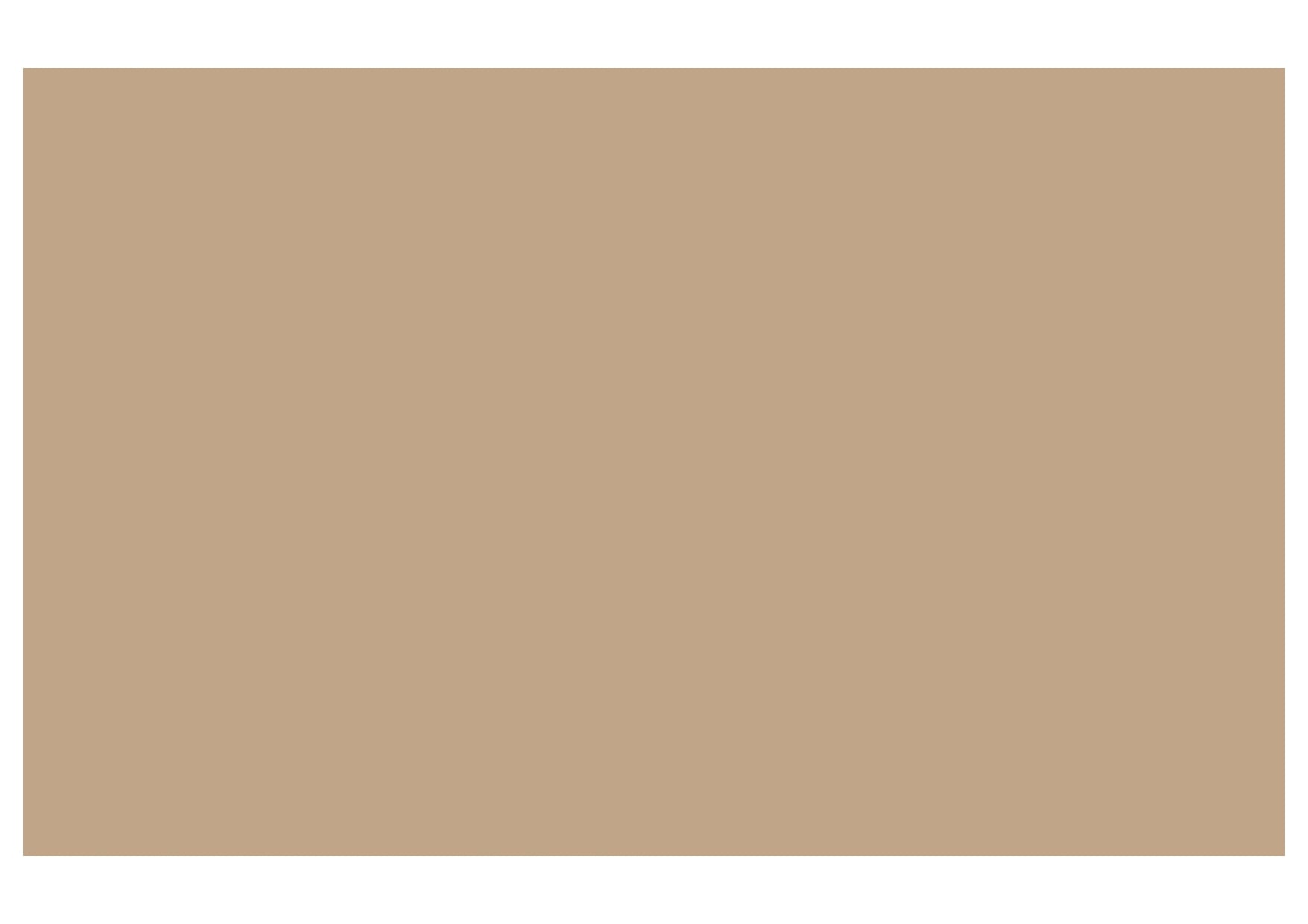 Brown Color Chart Backdrop