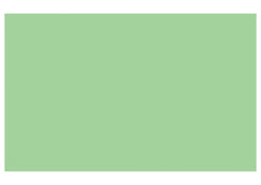 Light Green Color Chart Backdrop