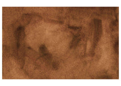 Wall Color Brown Backdrop