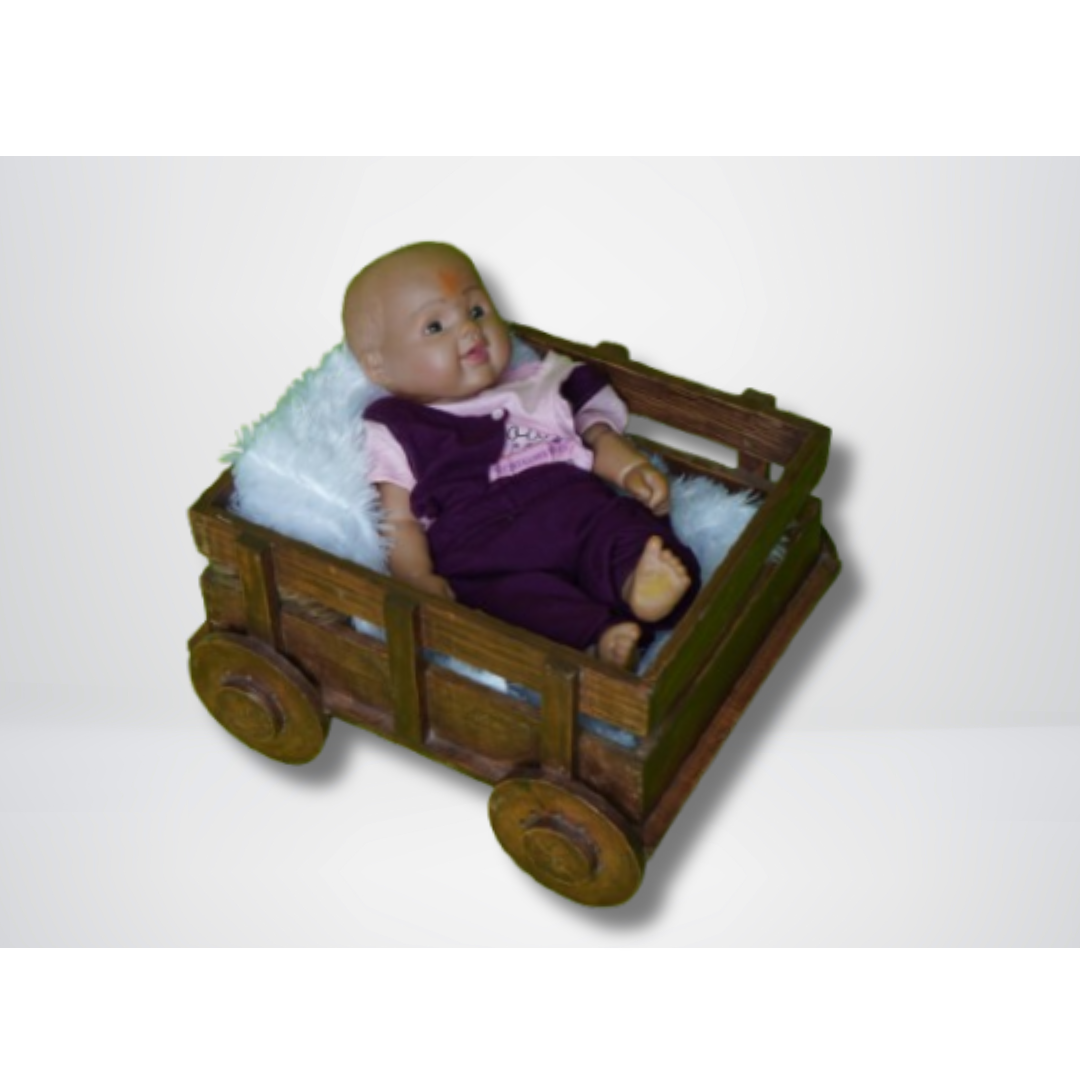 newborn photoshoot theme