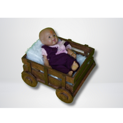 newborn photoshoot theme