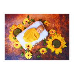 newborn photoshoot theme