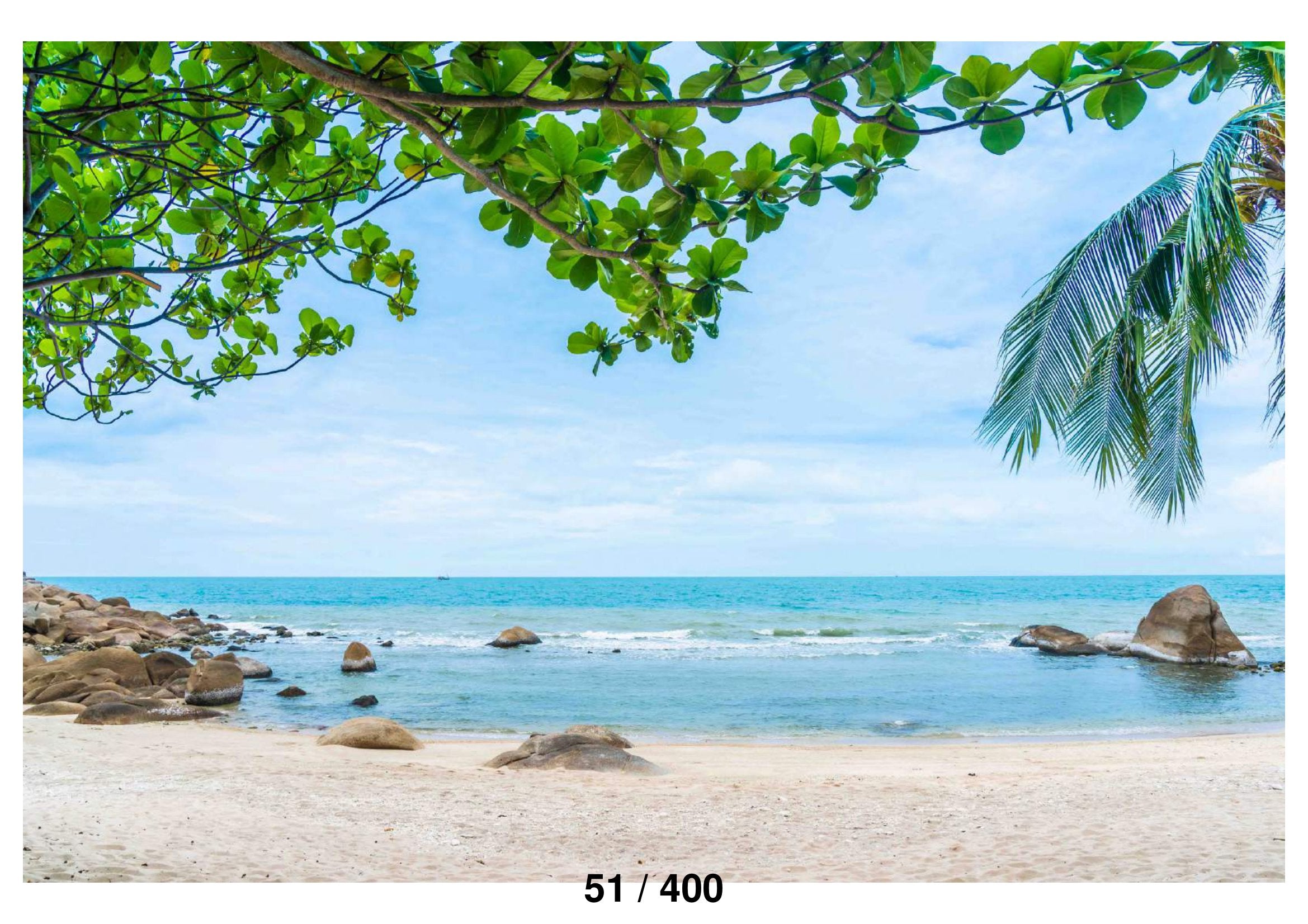 Beach Side View Backdrop