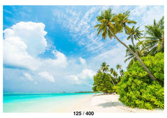 Maldives island Backdrop