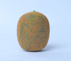 Artificial Fruit-Kiwi fruit