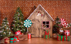Christmas Indoor theme