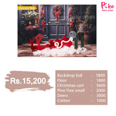 Christmas Ready to Shoot Baby Shoot toddler photoshoot Theme