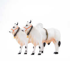 3D Bulls