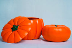 baby and toddler photoshoot props pumpkin bowl
