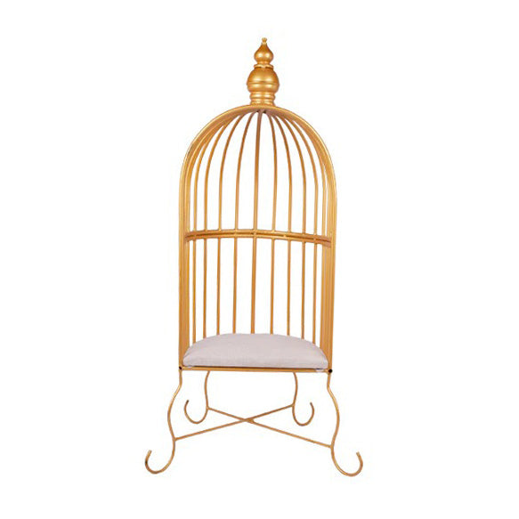 baby and toddler photoshoot props golden bird cage