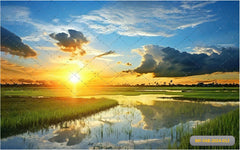 Village Grassland babyphotoshoot Backdrop