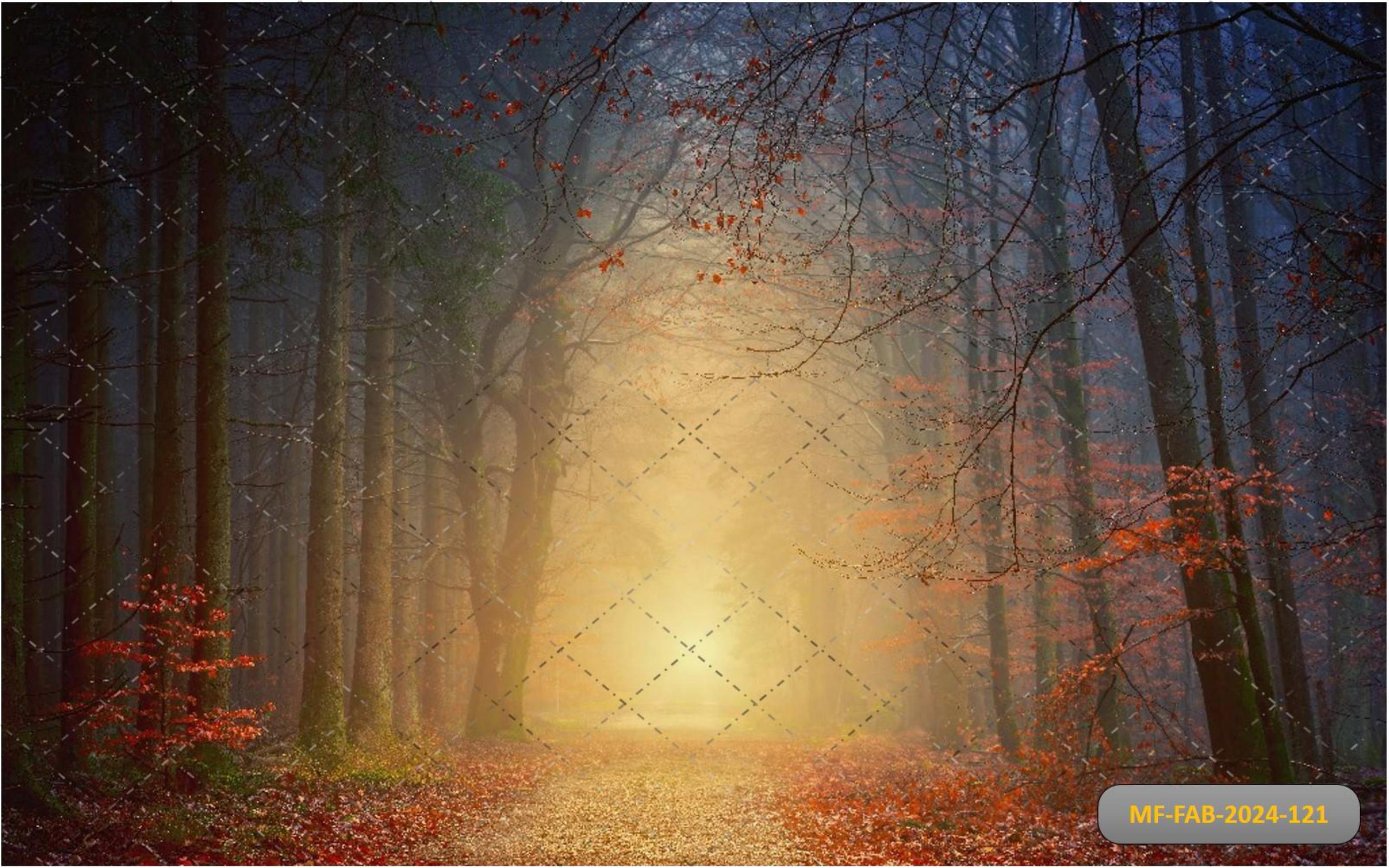 Autumn Season babyphotoshoot Backdrop