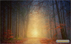 Autumn Season babyphotoshoot Backdrop